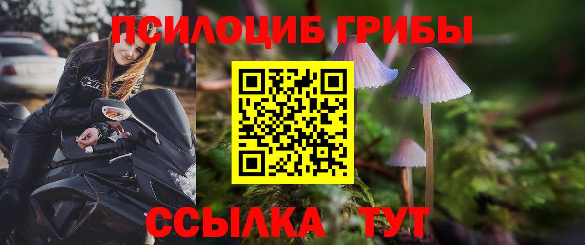 Галлюциногенные грибы прущие грибы  Галлюциногенные грибы прущие грибы  Великий Устюг  Вход с VPN 