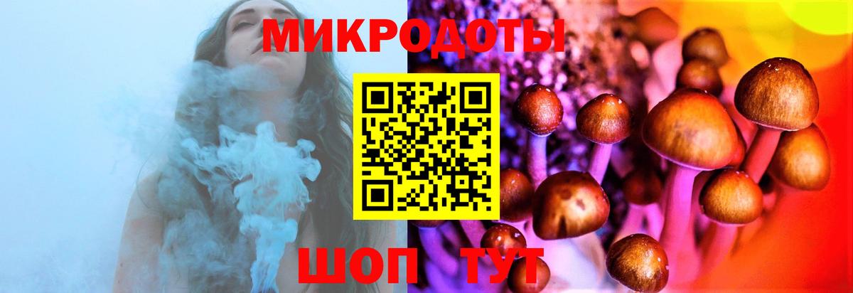 Псилоцибиновые грибы Psilocybe Великий Устюг